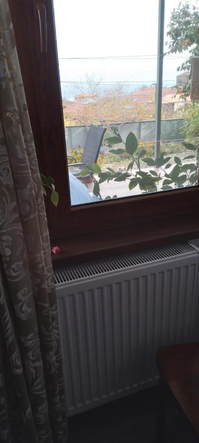 Apartment Giorgi In Sighnaghi Exterior foto
