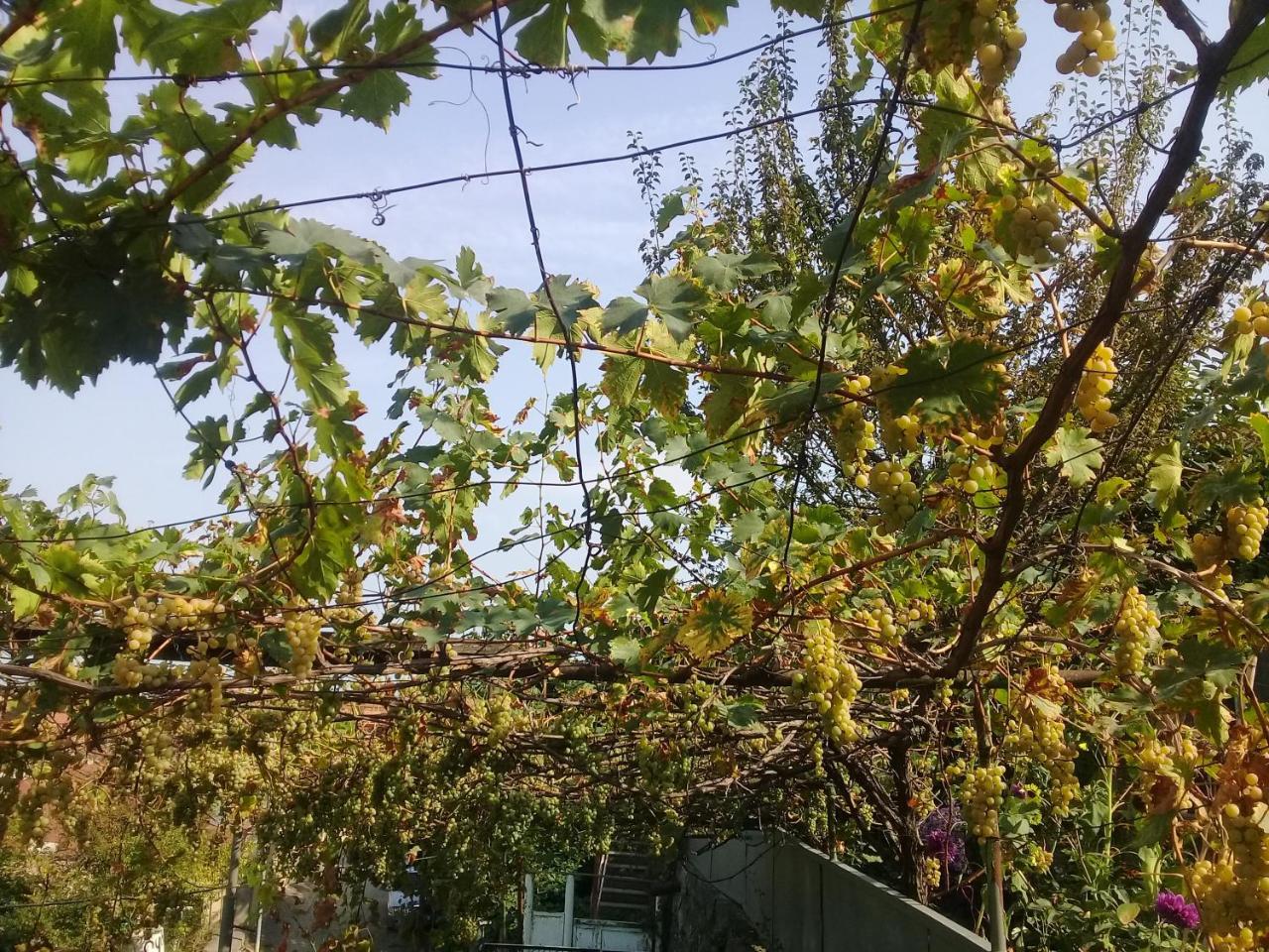 Apartment Giorgi In Sighnaghi Exterior foto