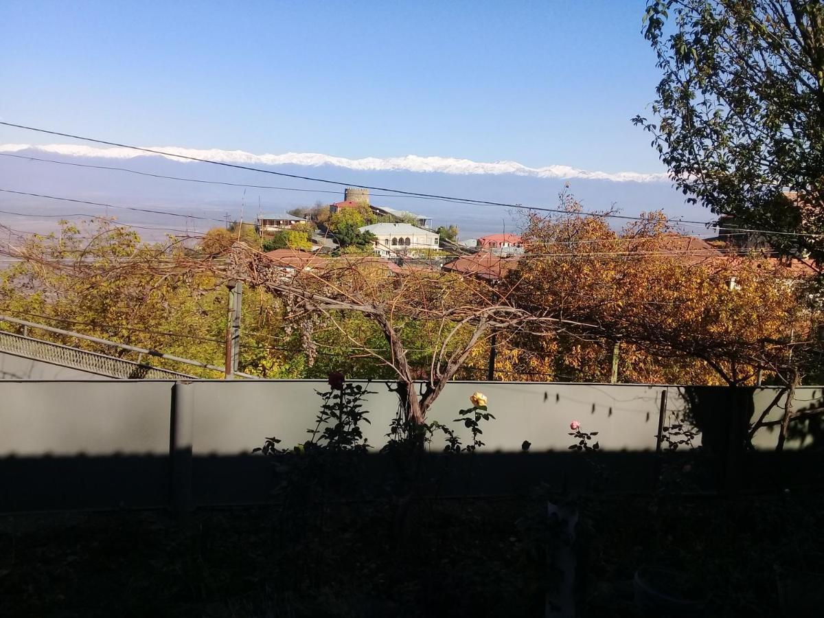 Apartment Giorgi In Sighnaghi Exterior foto
